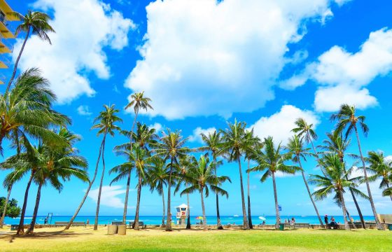 長期休暇前に荷主企業がすべきこと