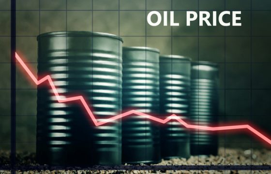 燃料価格からみる世界経済の未来