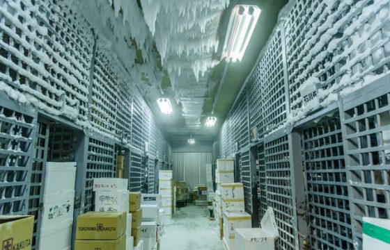 【重要】冷蔵・冷凍業界の今後の動向と絶対に考えなければならないこと